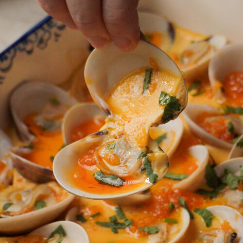 clam